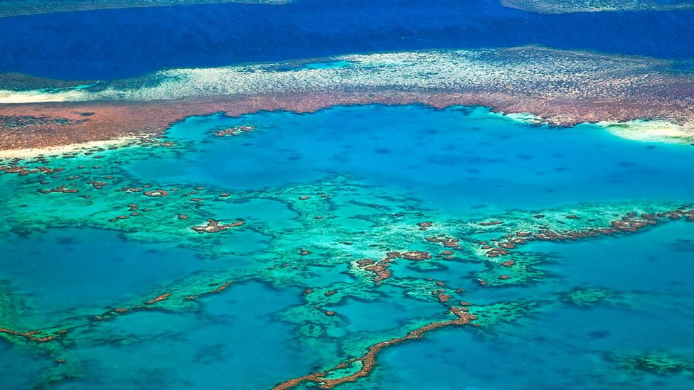Вид сверху на кораллы Большого Барьерного рифа