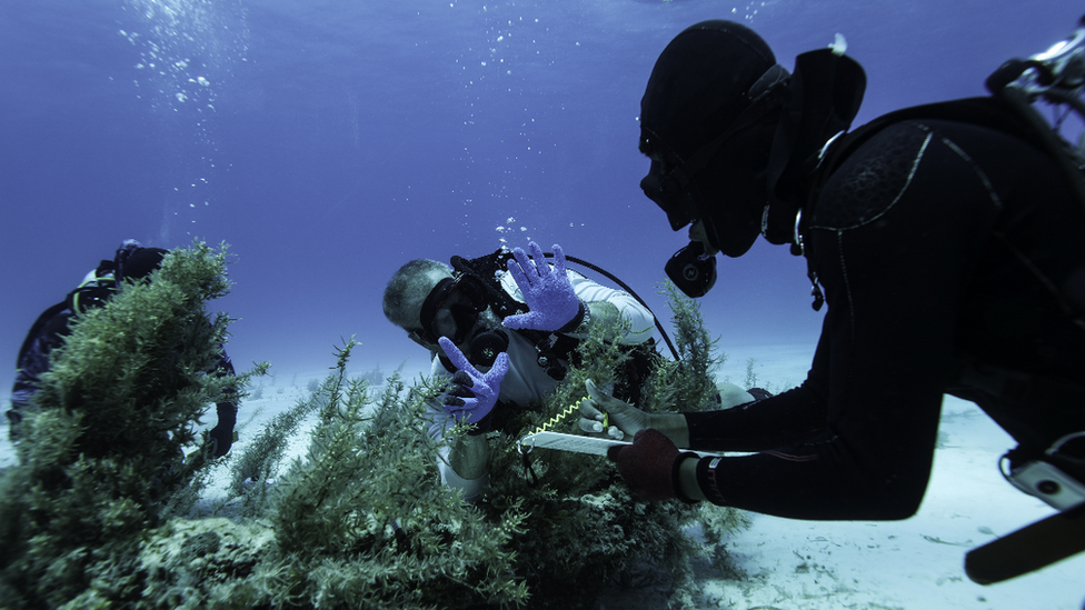 Divers from the Maravillas expedition find an anchor from the galleon