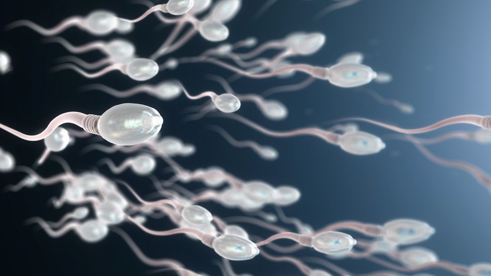 Visual representation of sperm