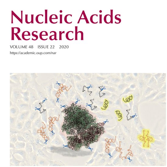 Tapa de la revista Nucleic Acids Research mostrando el trabajo de Tosar
