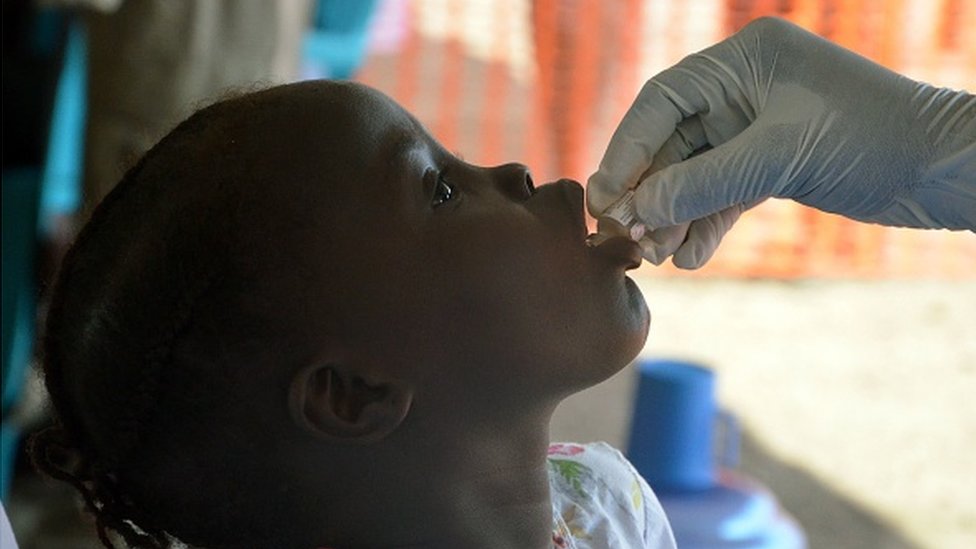 Oral cholera vaccine