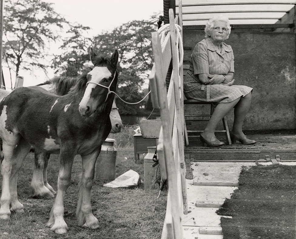 Женщина сидит на стуле и выглядывает из прицепа для лошадей, рядом с которым стоит лошадь