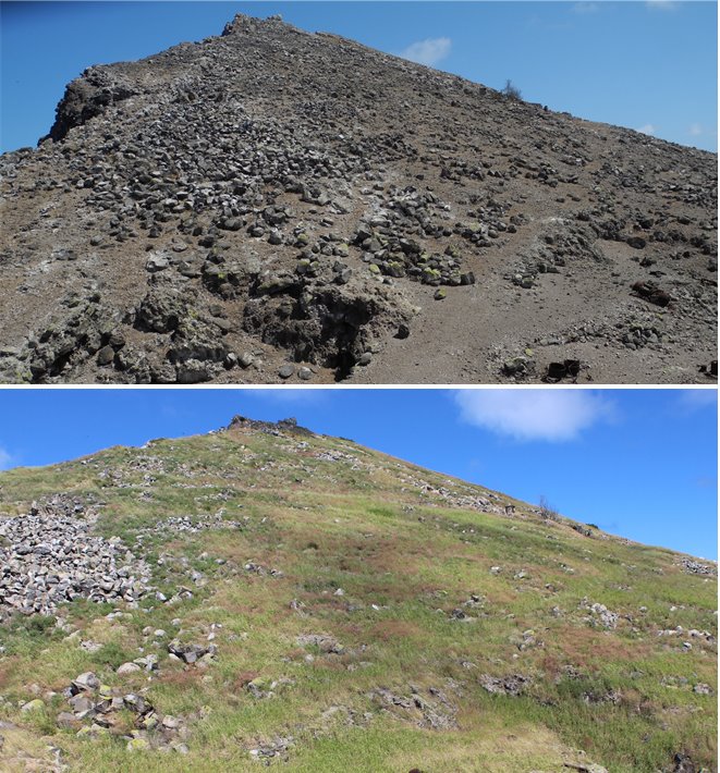 Fotos de la isla en 2012 y 2020