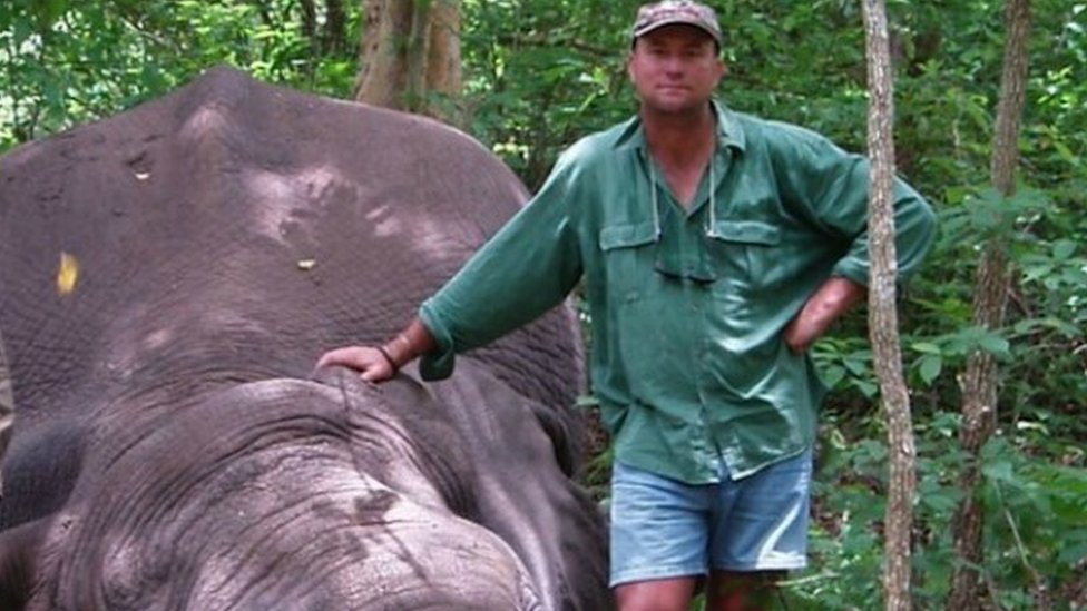 Aplastado por un elefante: la dramática muerte de Theunis Botha, uno de los  cazadores profesionales más famosos del mundo - BBC News Mundo
