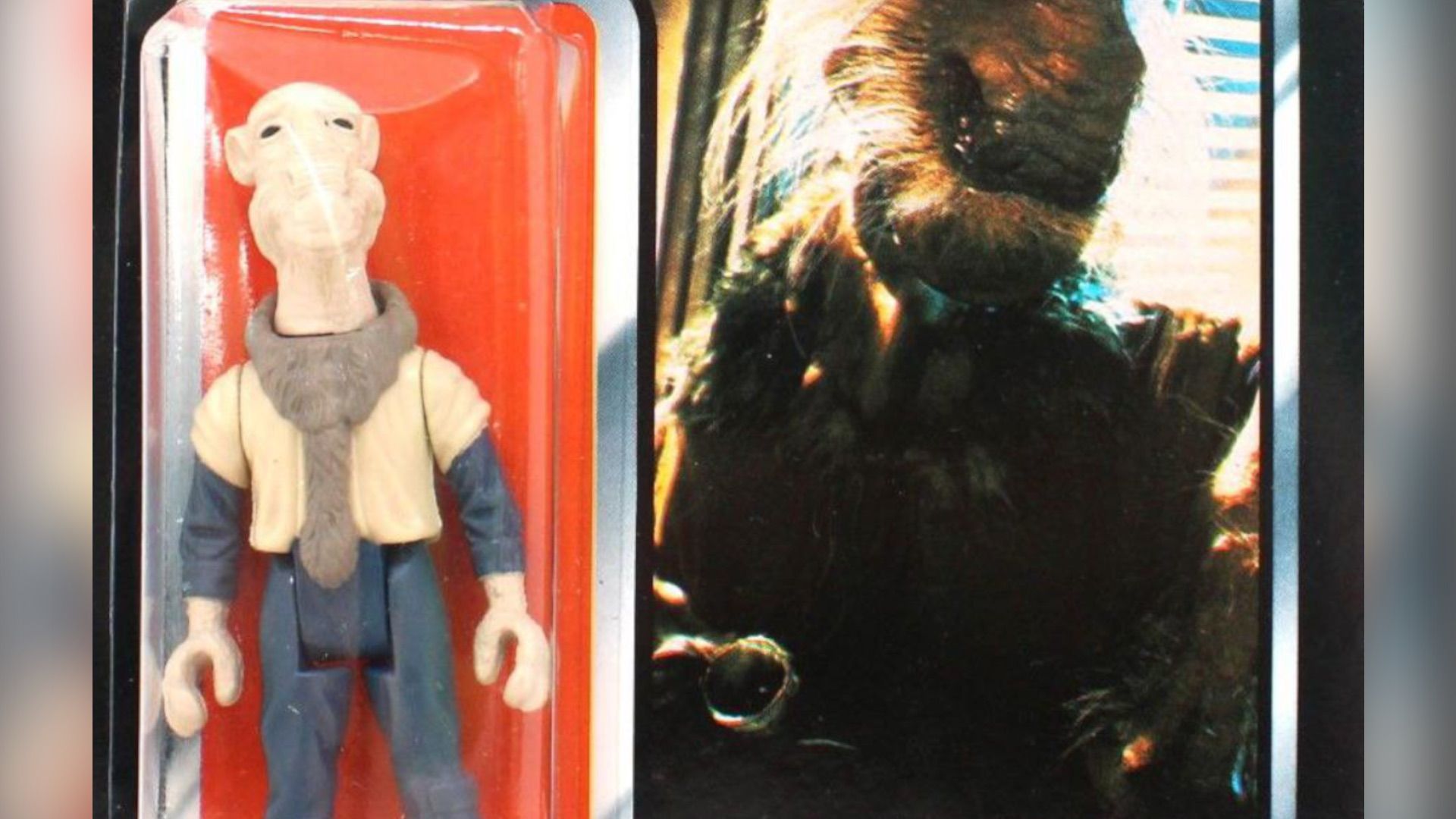 Rare Star Wars figure from Wellingborough a big hit at auction