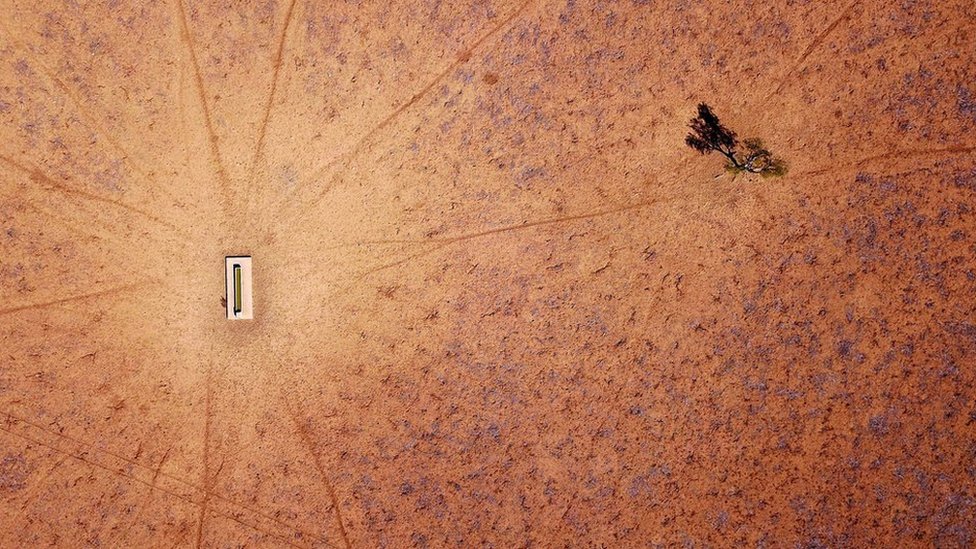 Un árbol solitario es el único signo de vida cerca de un abrevadero en una granja a las afueras de Walgett, Nueva Gales del Sur