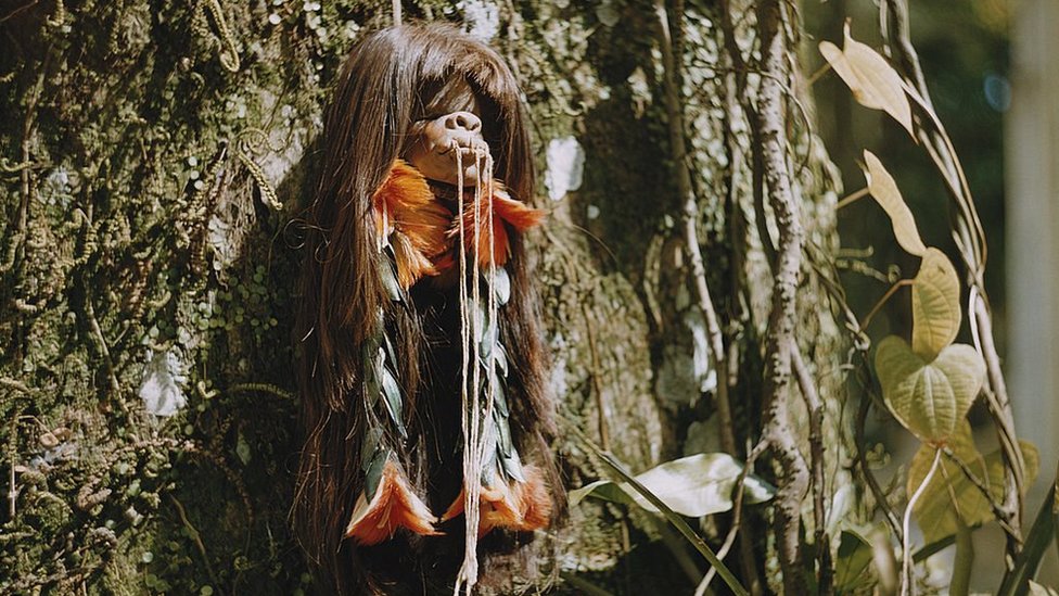 La colección de cabezas humanas de tribus de Ecuador y Perú que fue retirada de un museo de la