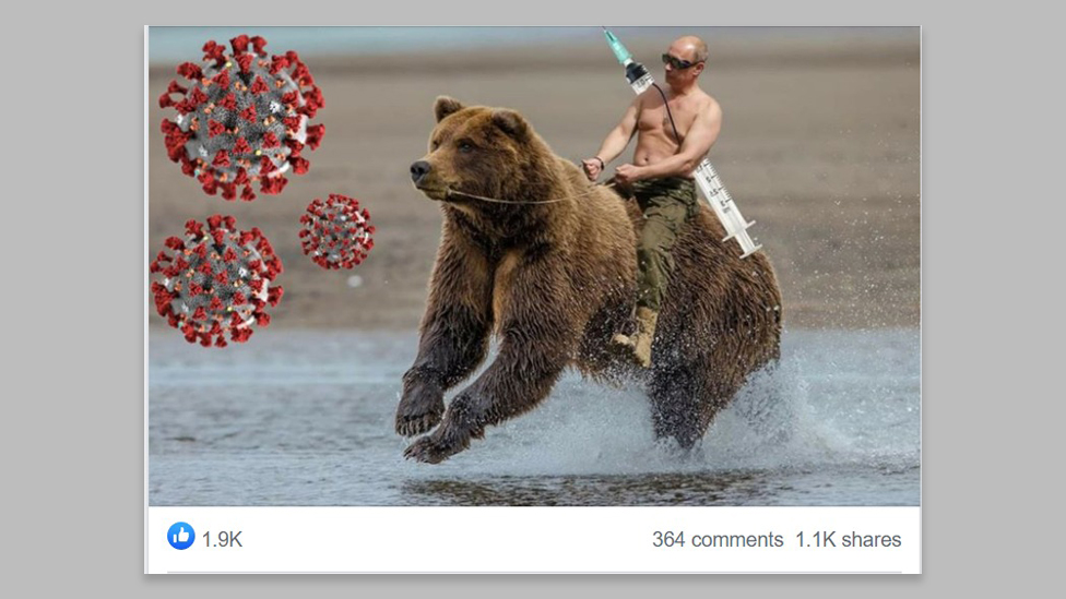 An image of Vladimir Putin superimposed onto a bear with a large syringe slung on his back