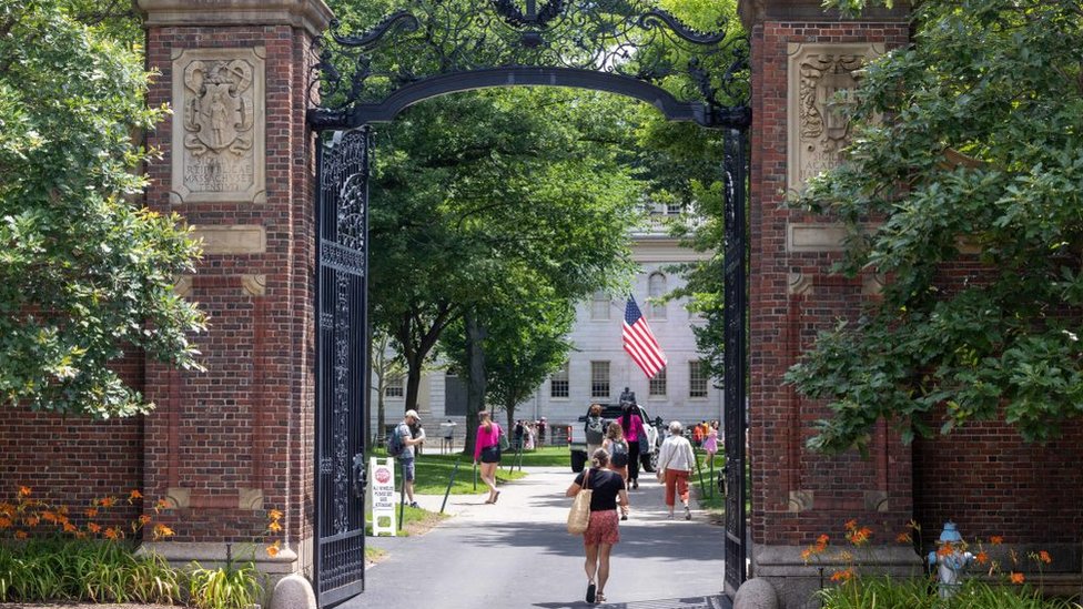 Video shows altercation at pro-Palestine 'die-in' at Harvard