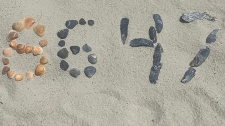 [Image: 218ec610-440b-11f1-8343-8378511e4aa9.png]