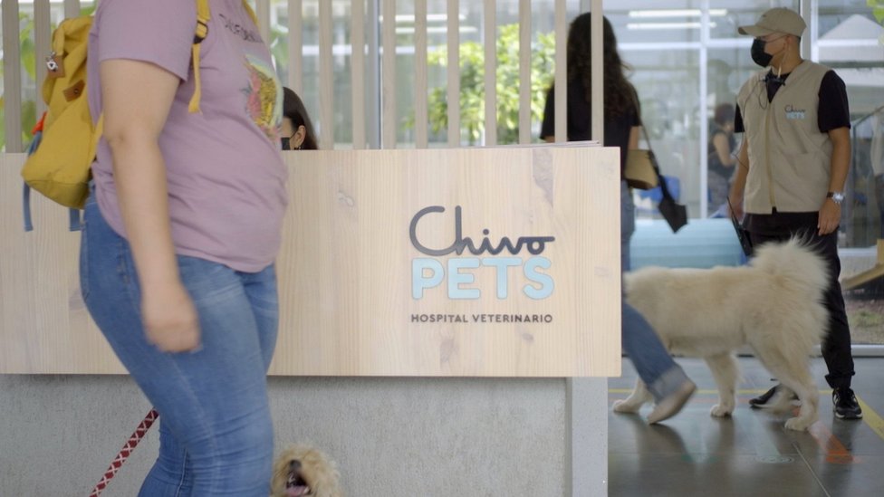 薩爾瓦多最大動物醫院Chivo