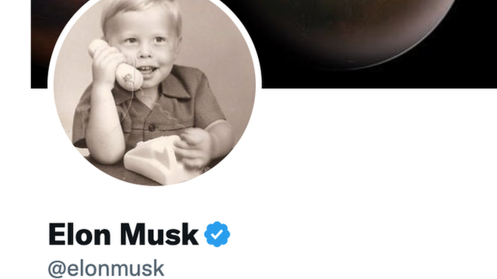 La foto de perfil de Elon Musk en Twitter