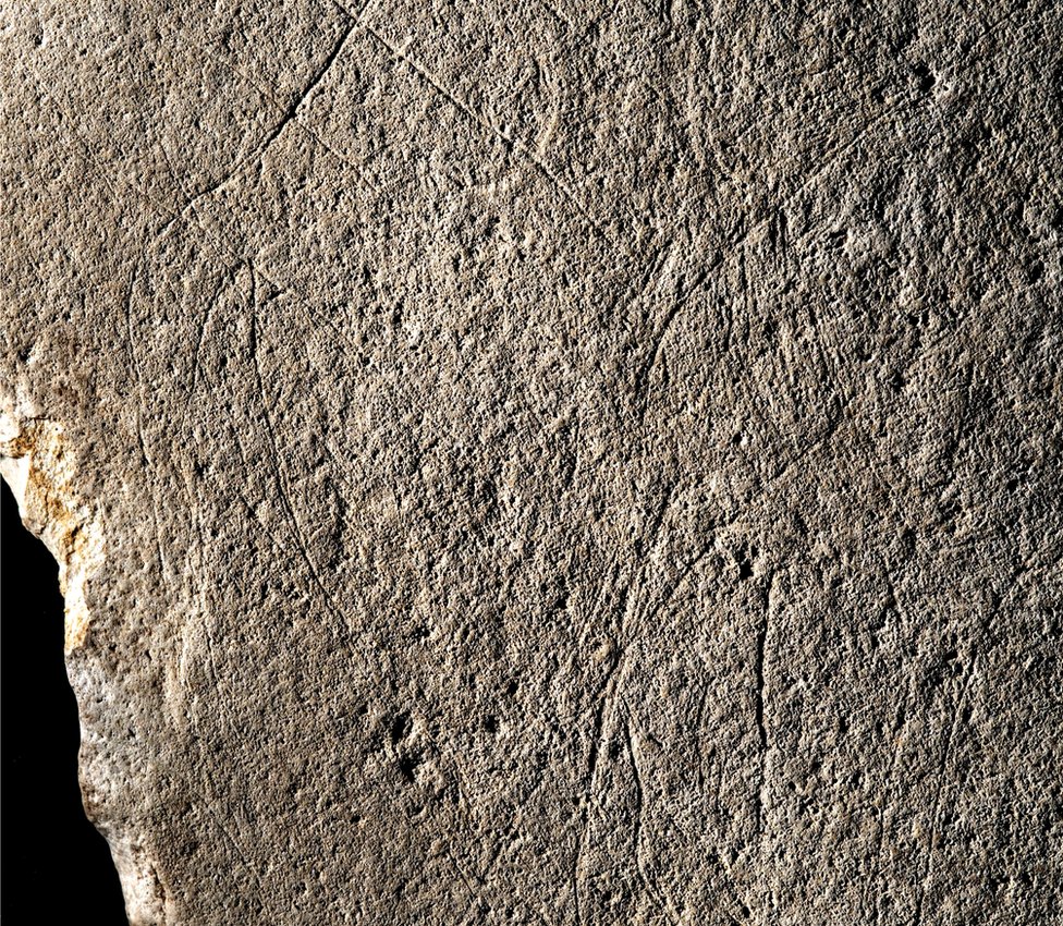 Гравюра, изображающая зад лошади, на доисторическом куске песчаника во Франции
