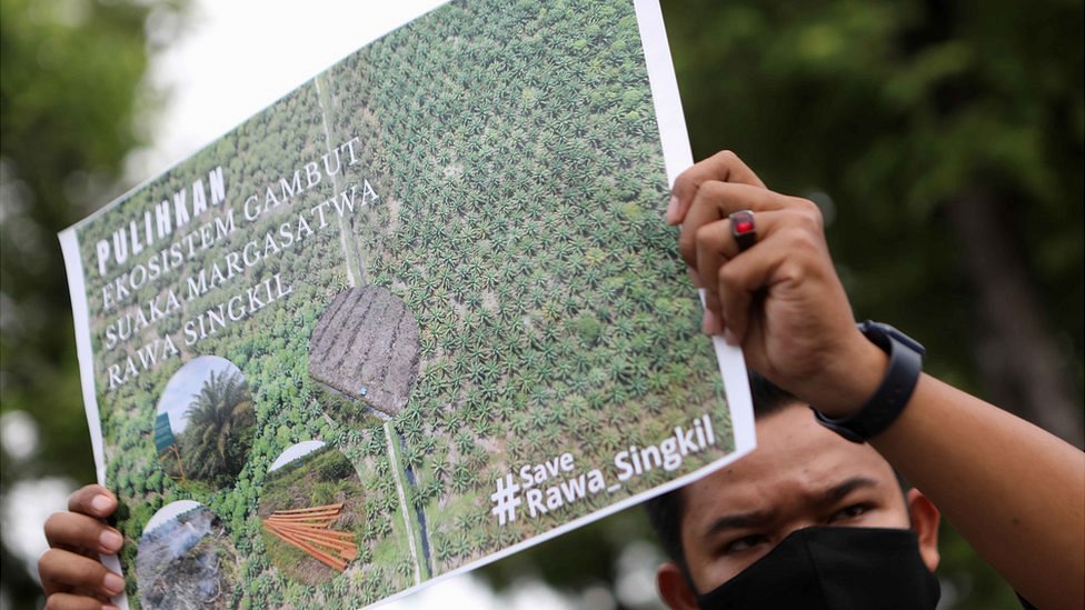 Man holding placard during anti-deforestation protest