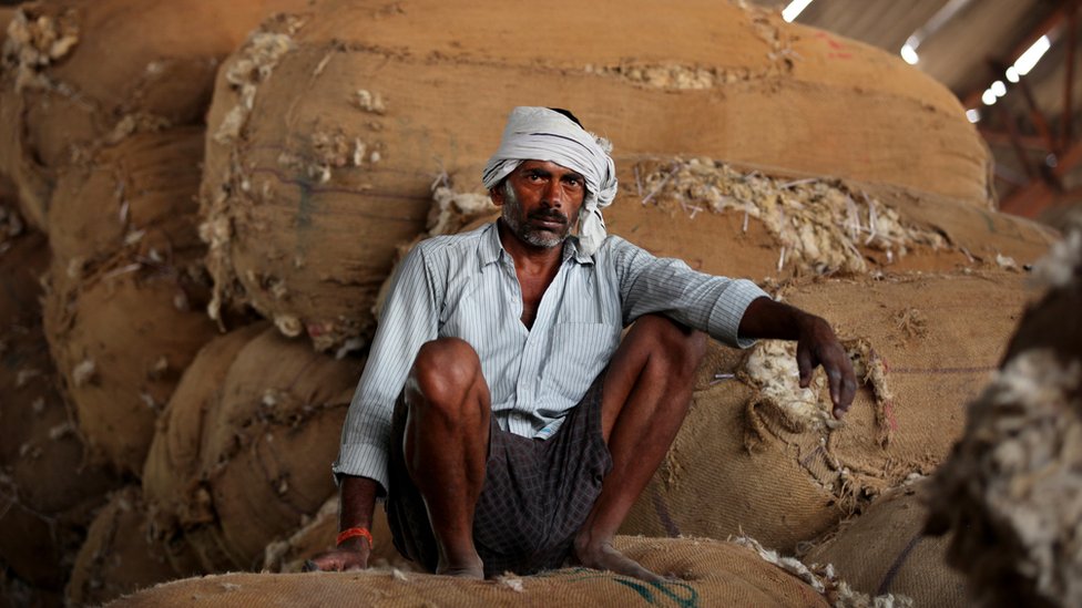 Sakupljač pamuka u Indiji