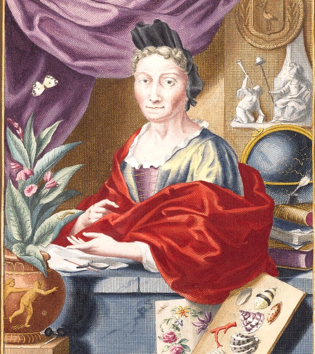 Nada le iba a impedir perseguir sus insectos por la selva. (Grabado de Jacobus Houbraken de un retrato de Georg Gsell). Maria Merian