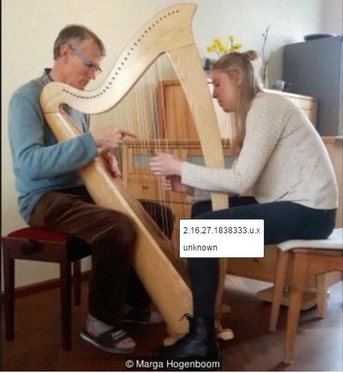 Pese al Alzheimer, Piet es capaz de tocar notas simples en un arpa. Foto: Marta Hogenboom. Piet tocando un arpa. Foto: Marta Hogenboom.
