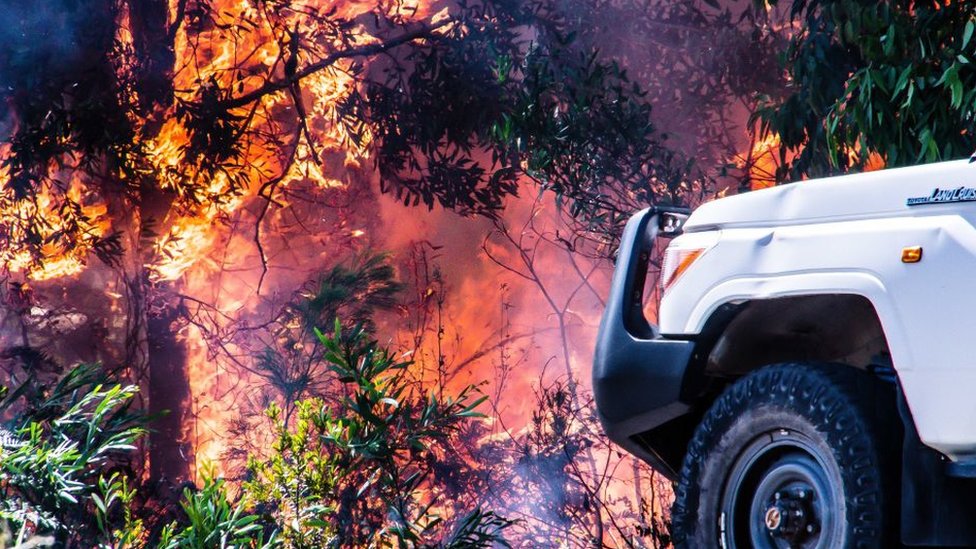 Горящий лесной пожар с машиной