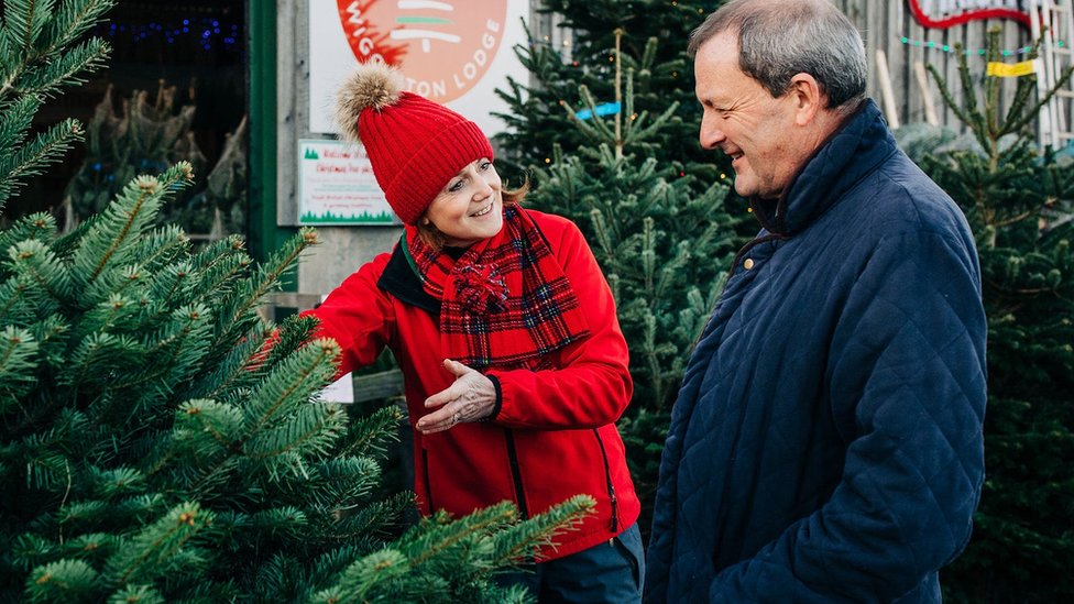 Kirsty Combe at York Christmas Trees showing tree to a customer