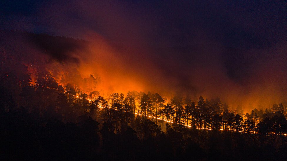 Forest fire in Siberia