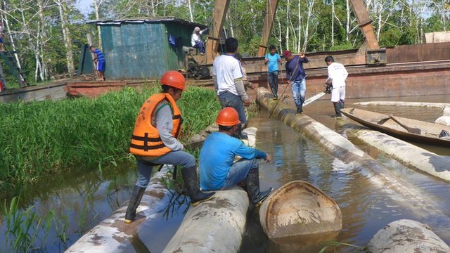 Tala ilegal en la Amazonía: la dura advertencia a Perú por los 