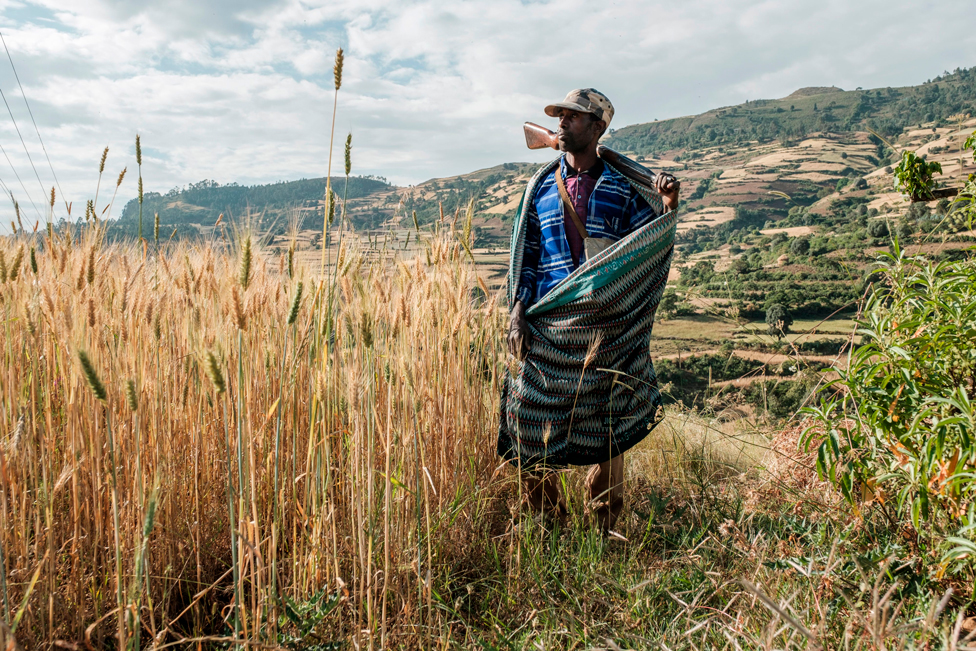 A farmer and militia fighter poses in his land near the village of Tekeldengy, northwest of Gondar, Ethiopia