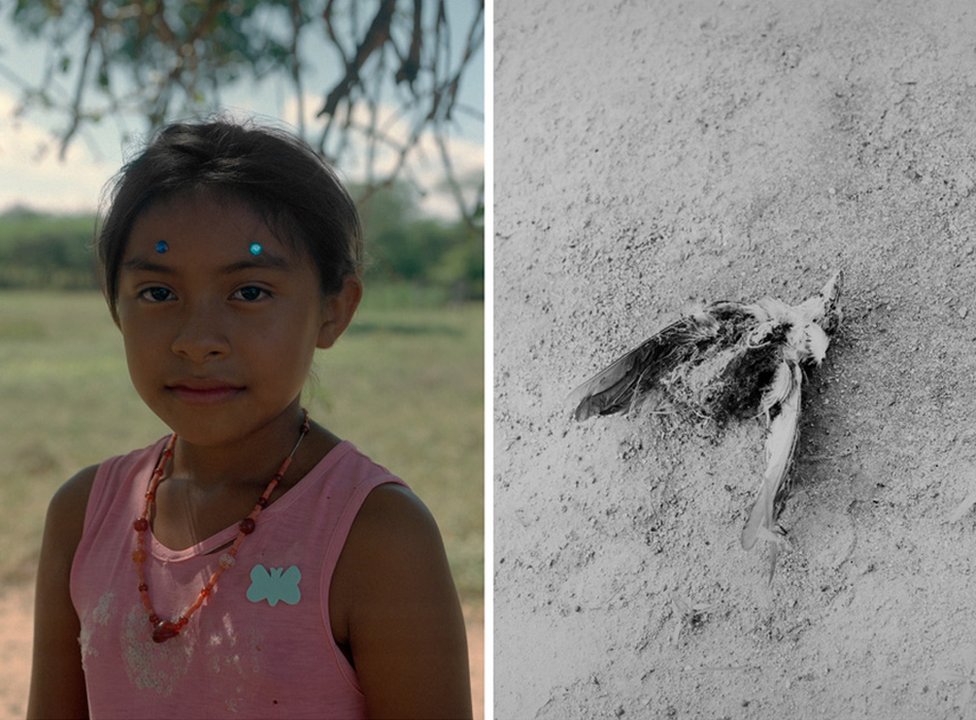 Un retrato de una niña se combina con una imagen en blanco y negro si un pájaro muerto en un suelo polvoriento