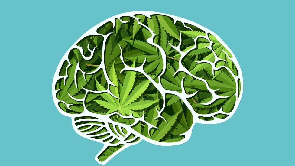 Cerebro lleno de cannabis