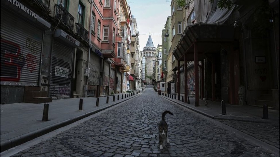 Кошка ходит по пустой улице Стамбула
