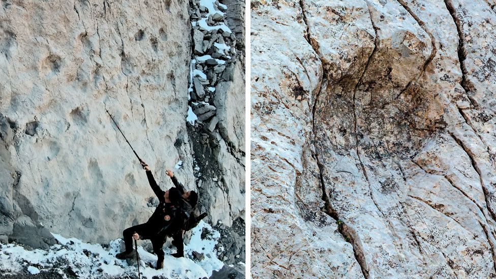 Stelvio national park: Thousands of dinosaur footprints found on