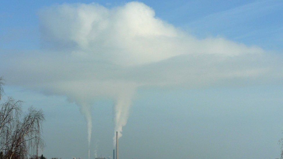 Homogenitus. Homogenitus.