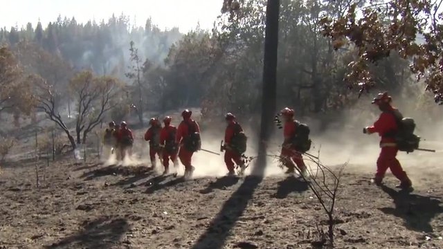 The Prisoners Fighting Wildfires In California BBC News the-prisoners-fighting-wildfires-in-california-bbc-news