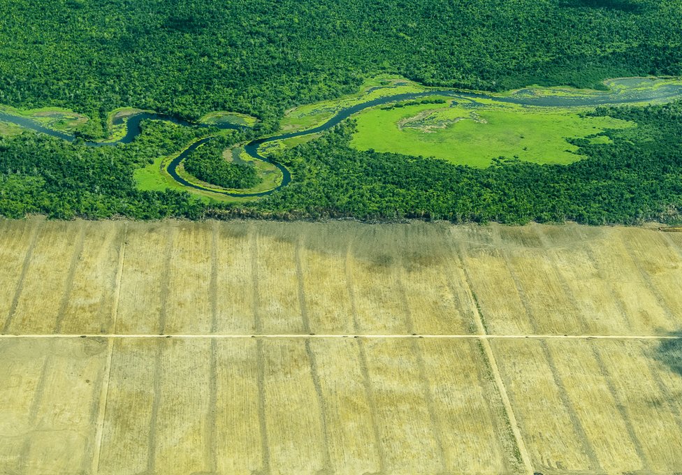 An aerial view showing dense forest meeting barren land cleared by humans