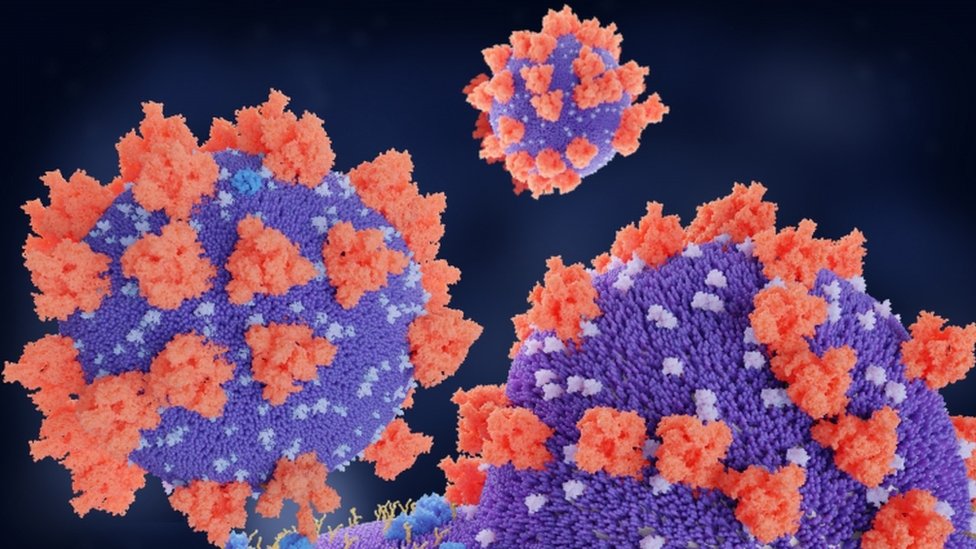 Иллюстрация связывания белков шипа вируса SARS-CoV-2 (красный) с рецепторами (синий) на клетке-мишени