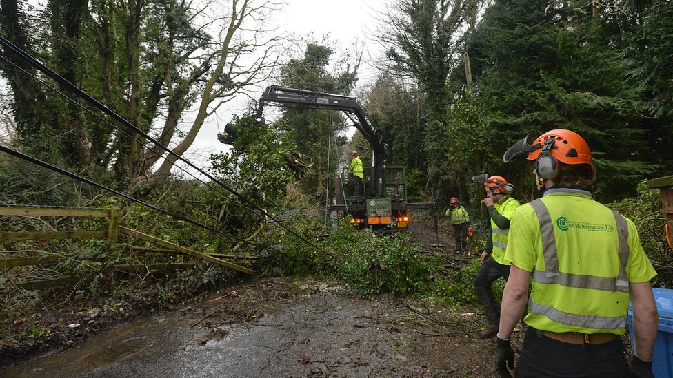 Рабочие пытаются убрать дерево, упавшее на дорогу возле Дандональда в графстве Даун
