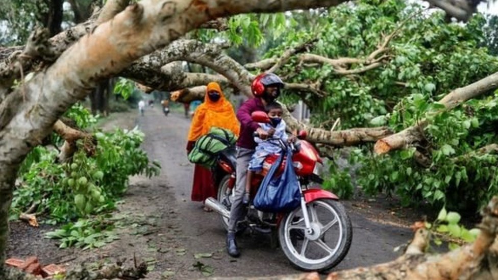 Jalan-jalan tertutup pohon tumbang di Bangladesh.