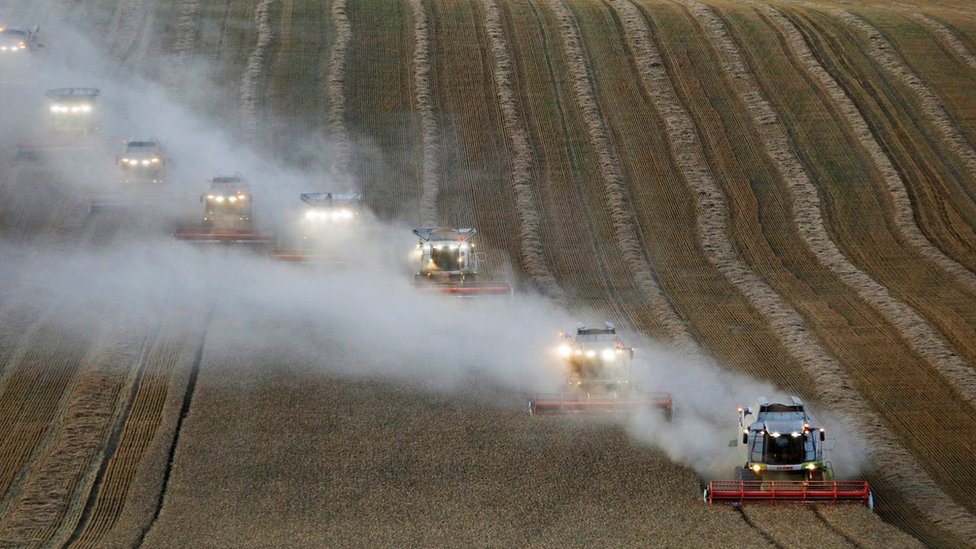 Combines harvest wheat in a field near the village of Suvorovskaya in Stavropol Region, Russia July 17, 2021. REUTERS/Eduard Korniyenko/File Photo