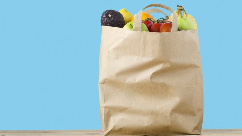 Paper Bags Vs. Plastic Bags: Which One is More Sanitary?