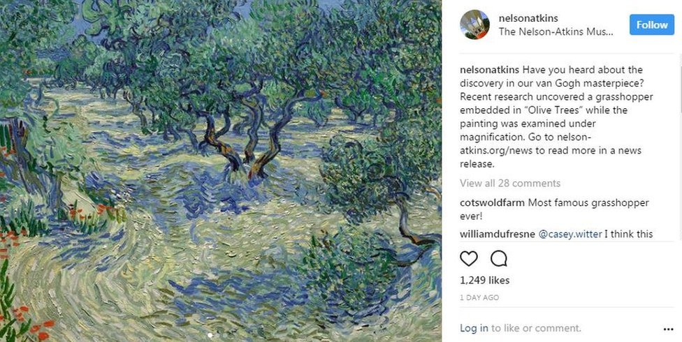 El descubrimiento lo hizo la conservadora de arte Mary Schafer. Post de Instagram del Museo Nelson-Atkins de Kansas City, Estados Unidos, en el que se informa del hallazgo del saltamontes en la obra Olive Trees de Vincent Van Gogh de su colección.