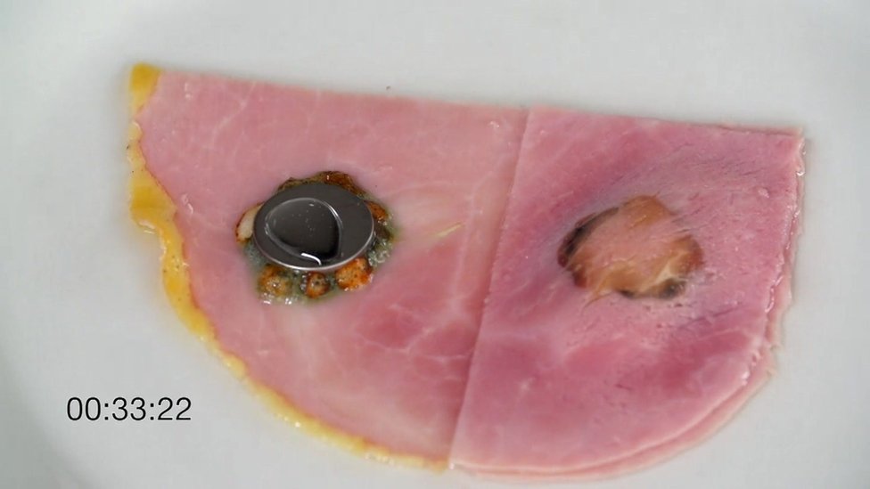 Button batteries on ham slice