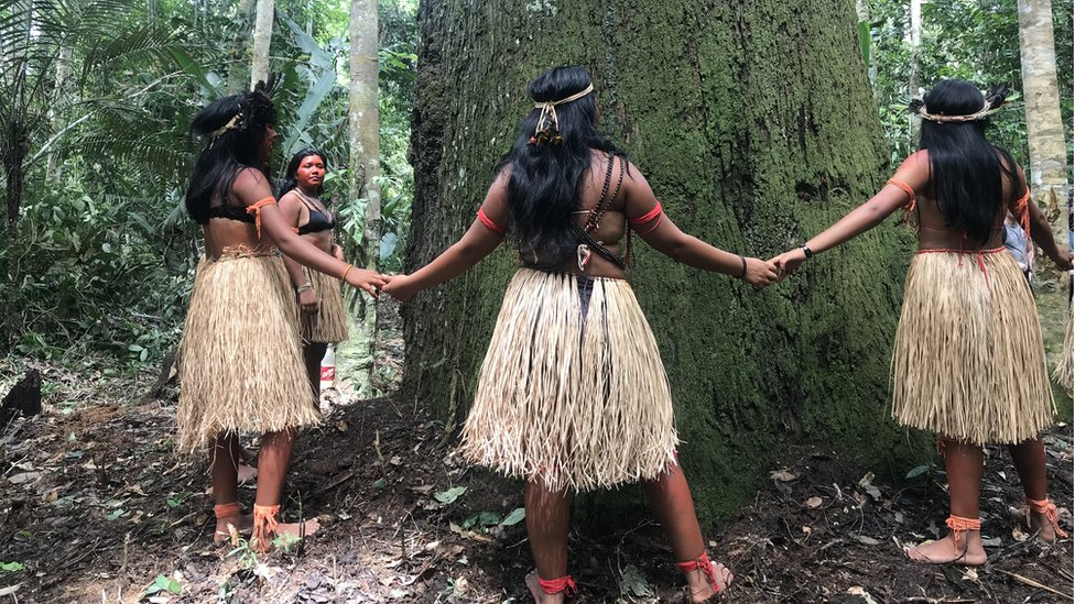 Молодые девушки из племени Арара-Каро возносят молитву старому дереву в тропических лесах Амазонки