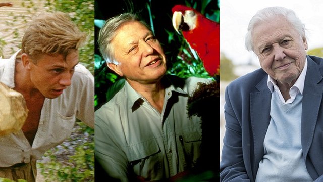 David Attenborough turns 90 years old - BBC Newsround