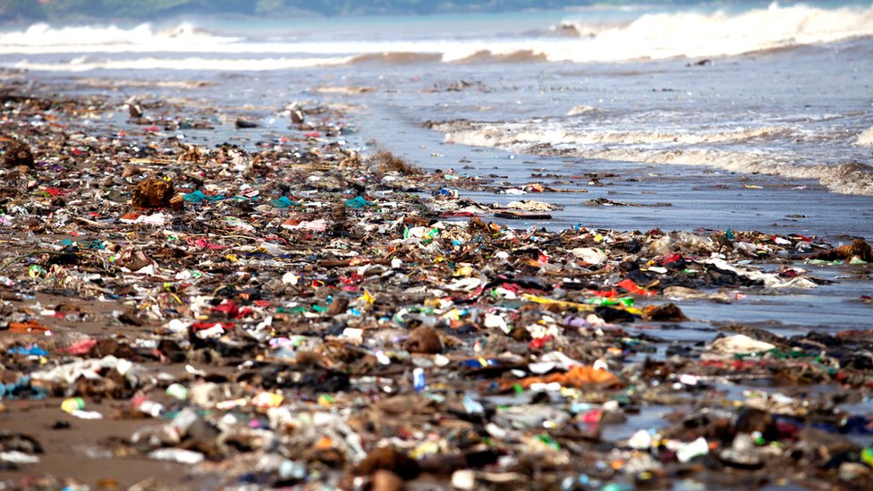 Basura y plástico en la orilla del mar.