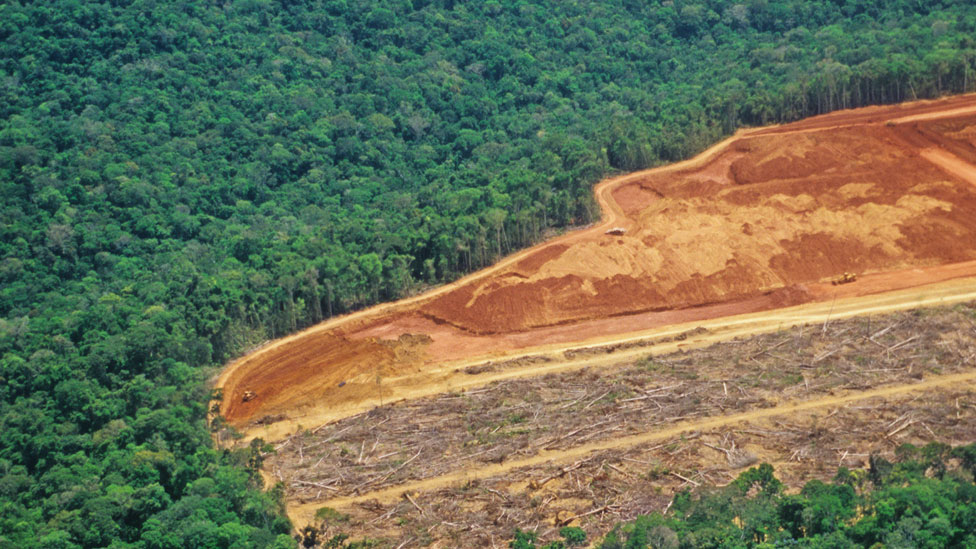 Desforestación en la Amazonía