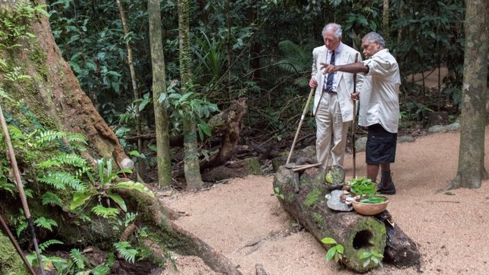 Принца Чарльза сопровождает Рой Гибсон, старейшина племени Куку Яланджи, во время посещения тропических лесов Дейнтри в Австралии