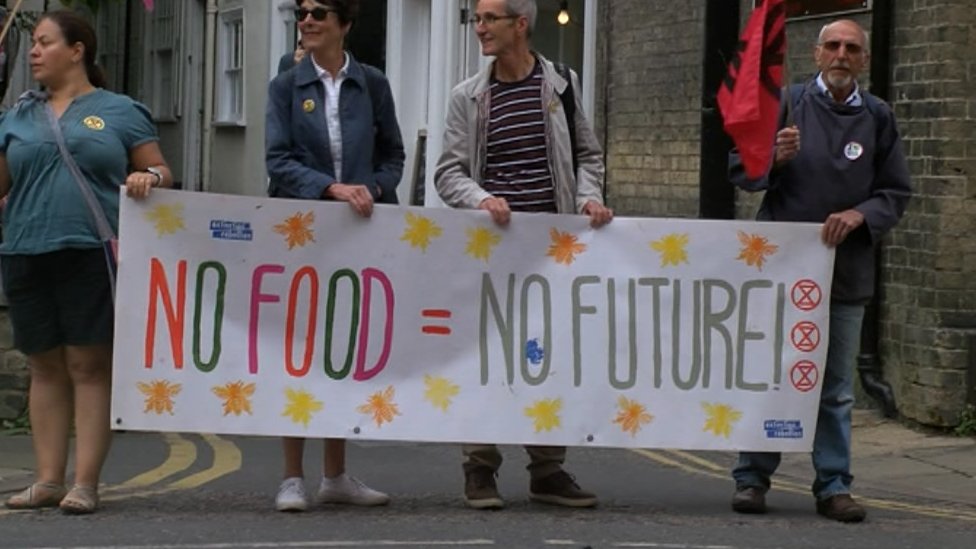 Активисты движения Extinction Rebellion в Кембридже