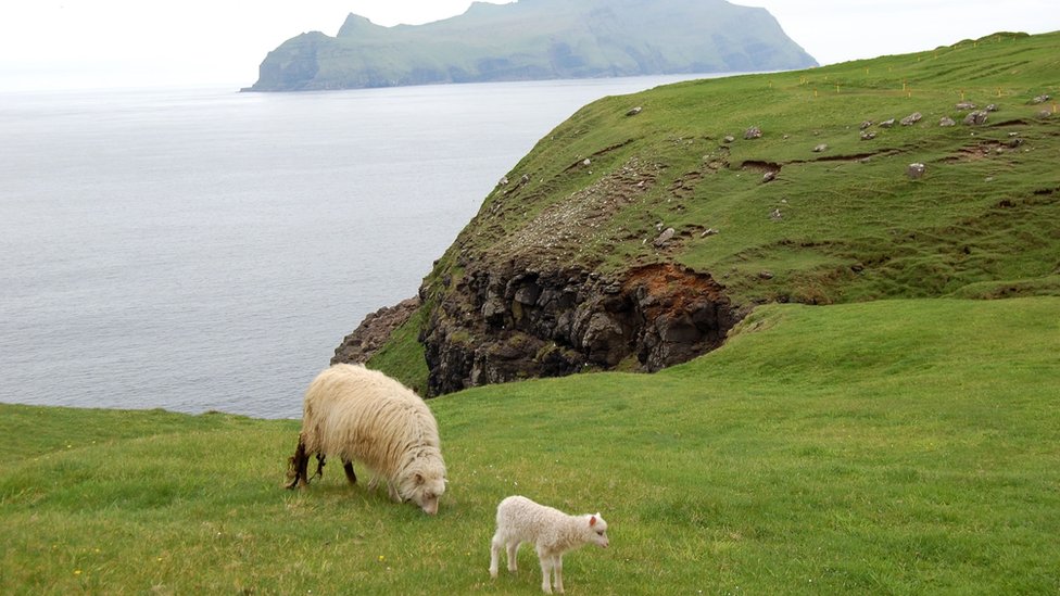 Faroe Adaları