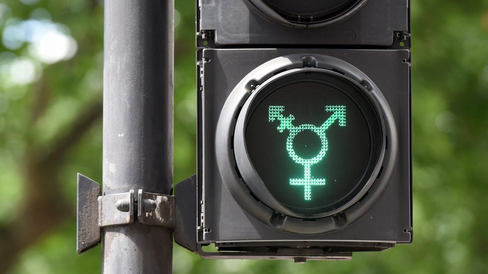 Símbolo transgénero en un semáforo