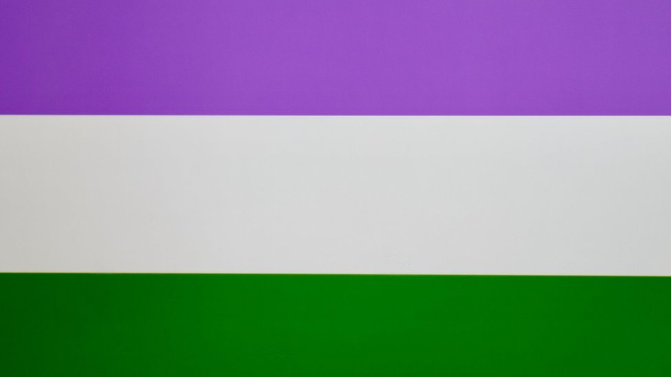 The purple, white and green genderqueer flag