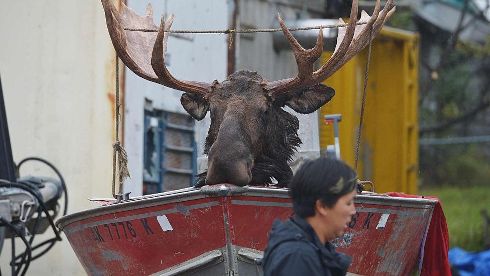 Alaska ocupa un lugar especial en la imaginación de los estadounidenses. Alaska